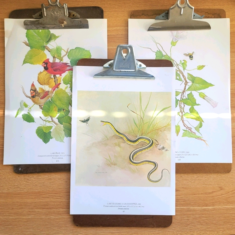 Vintage clipboards with paper prints